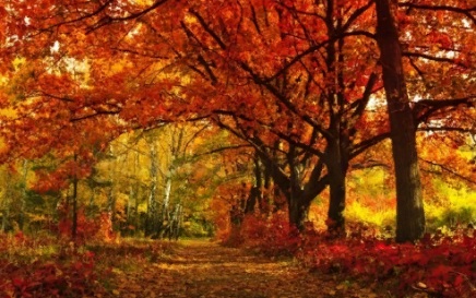 Баннер Осень фото