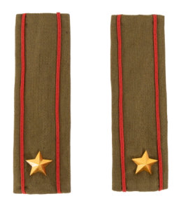 Военный костюм Погоны (2 штуки) со звездой из желтого металла