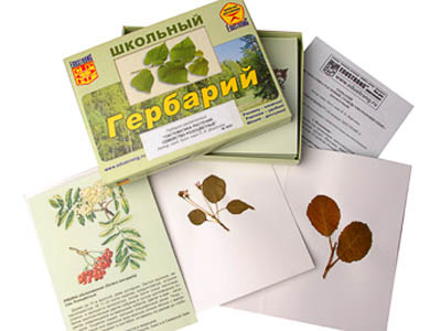 Коллекция "Систематика растений" раздаточный
